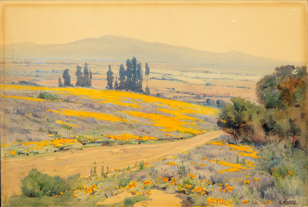 Paysage printanier de Californie - Elmer Wachtel