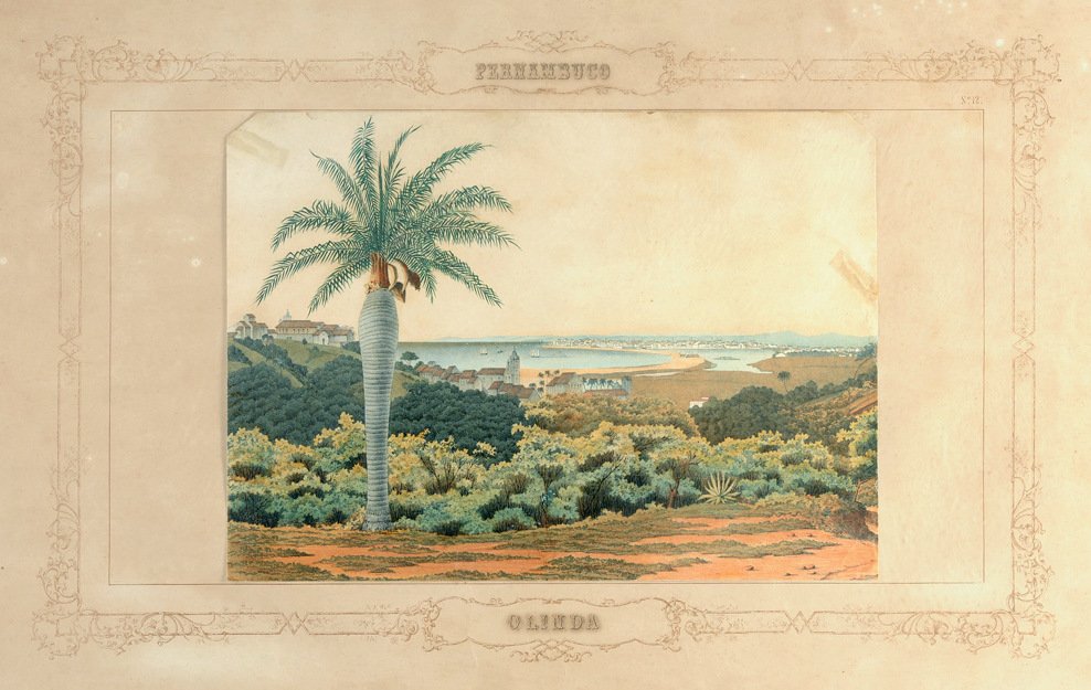 Olinda - Emil Bauch
