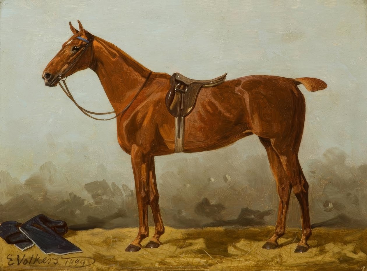 Cheval sellé - Emil Volkers