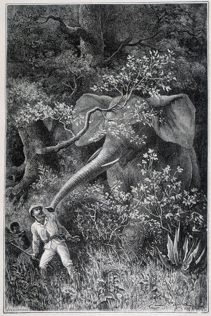 Livingstone surpris par un éléphant, dans "Le Tour du Monde" - Emile Antoine Bayard