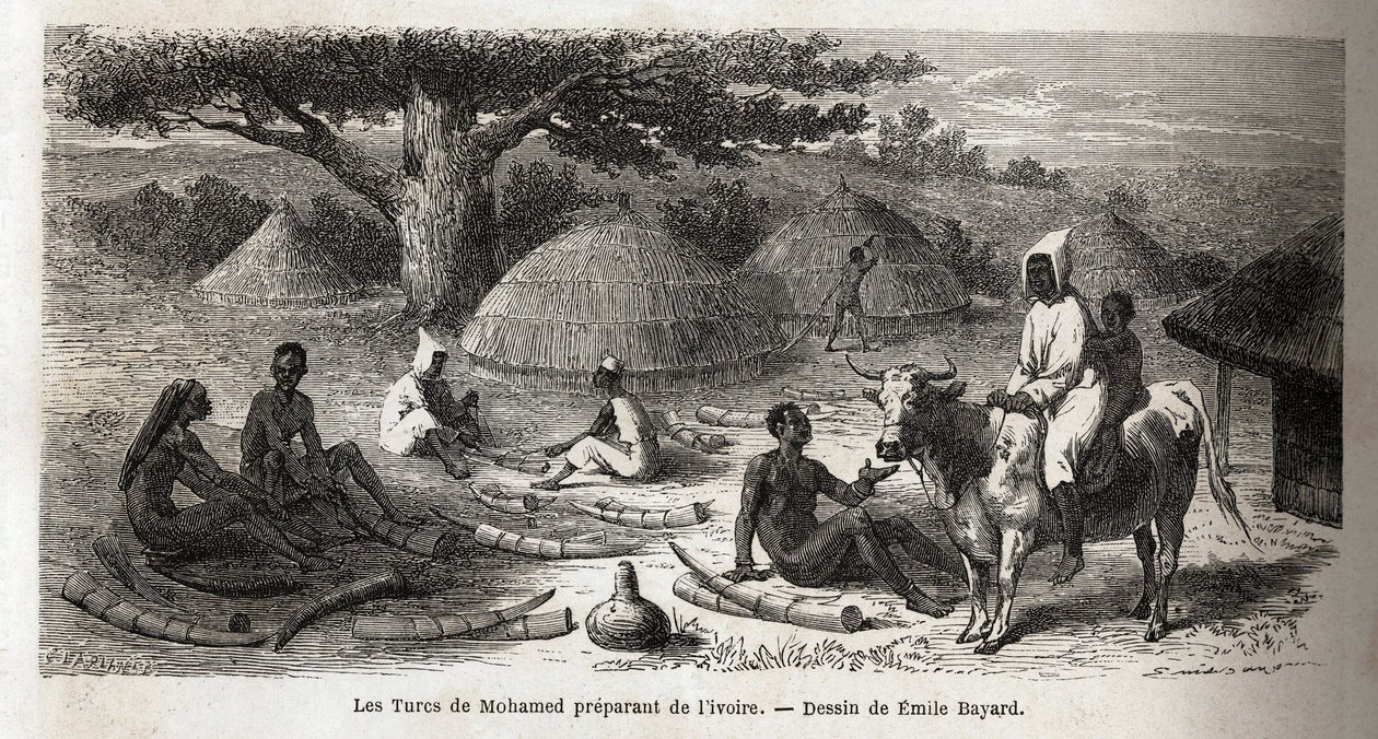 Préparation de l