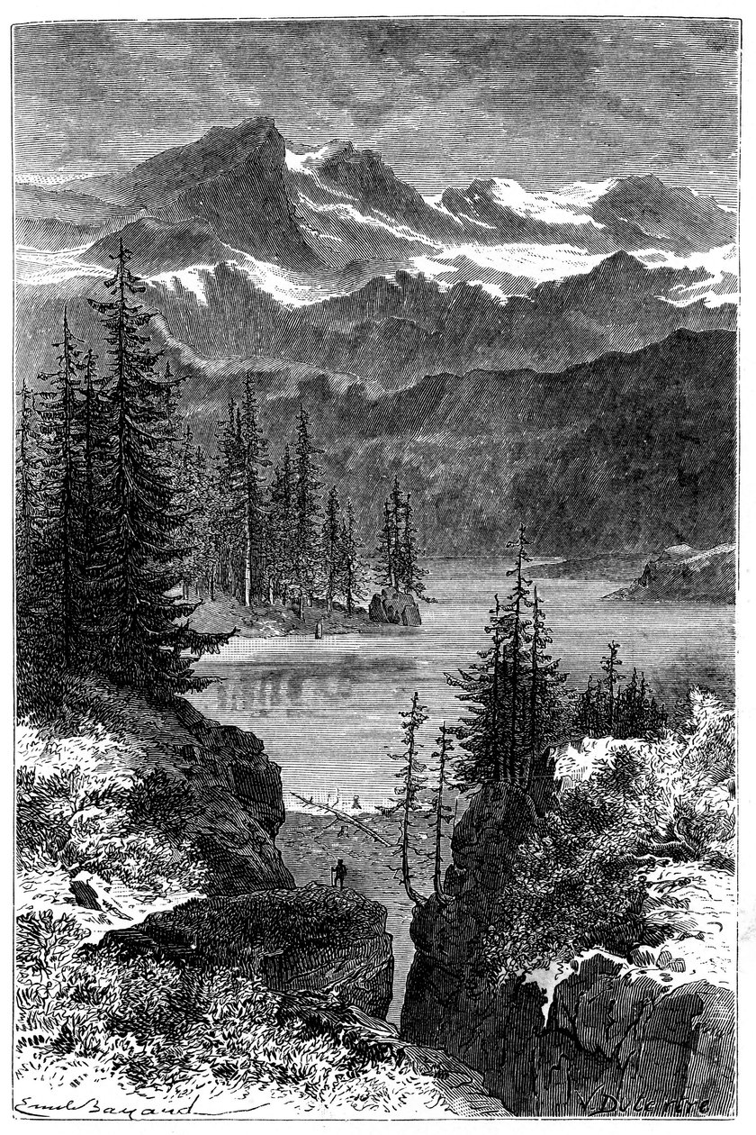 Vue des Alpes : forêt, lac, sommets. Illustration d