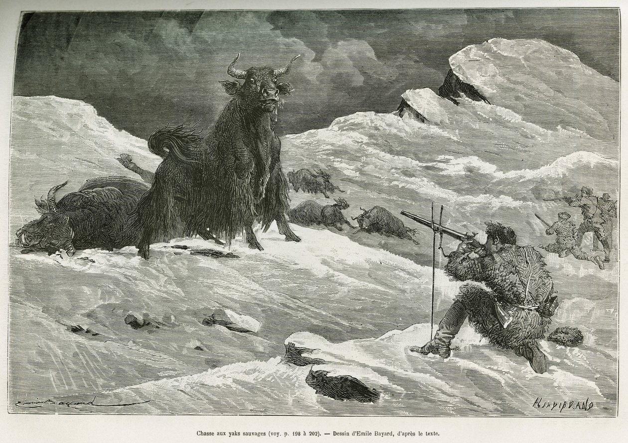Scène de chasse au yak sauvage, dessin par Emile Bayard pour illustrer le voyage en Mongolie et au pays des Tangoutes de 1870 à 1873, par le lieutenant-colonel Prjewalski. Gravure dans Le Tour du monde - Emile Antoine Bayard