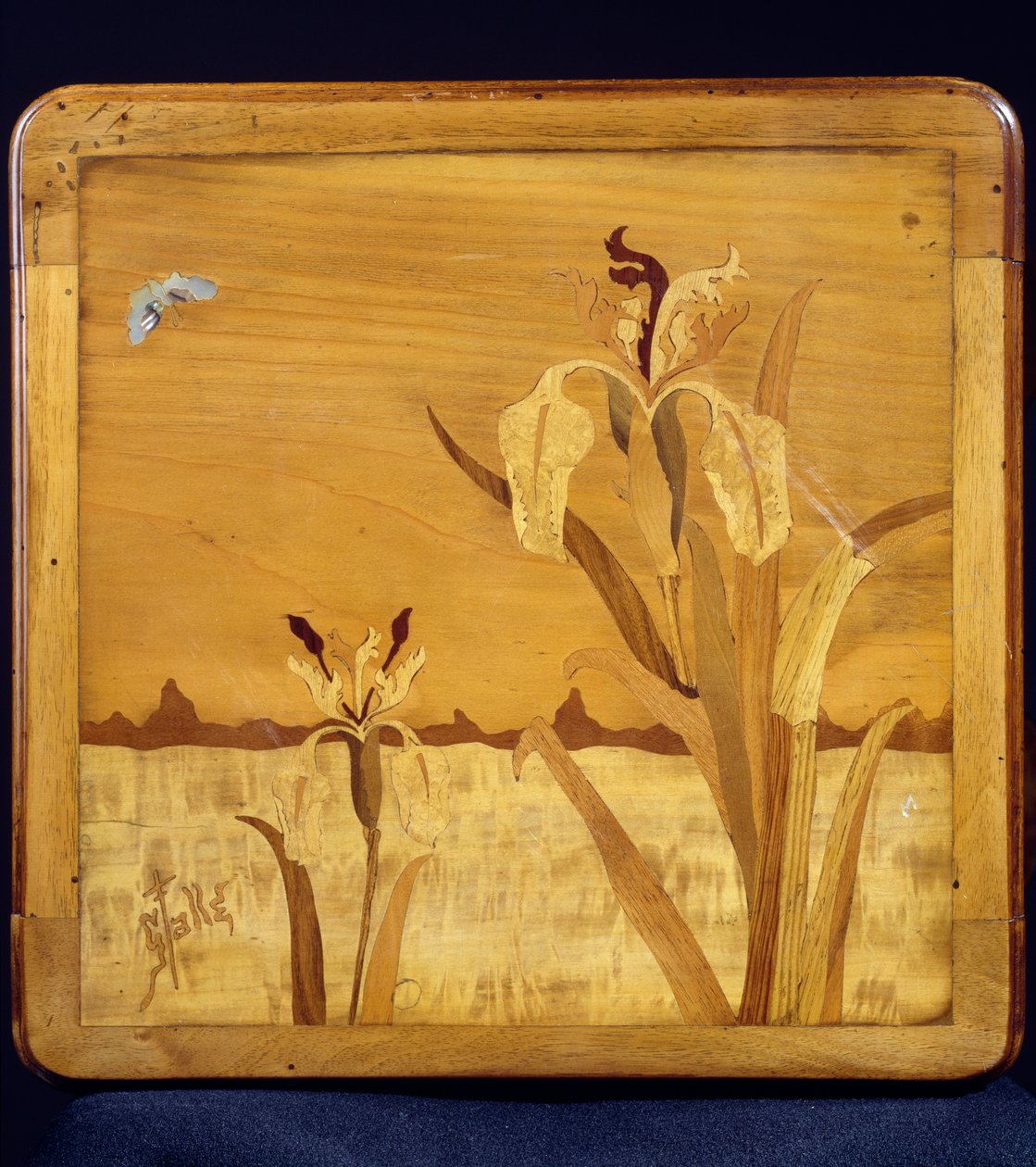 Table de style Art Nouveau, par Emile Gallé, détail, France, 20e siècle - Emile Galle