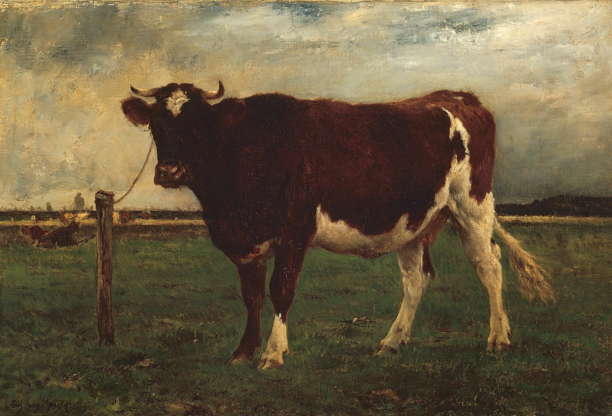 Étude d