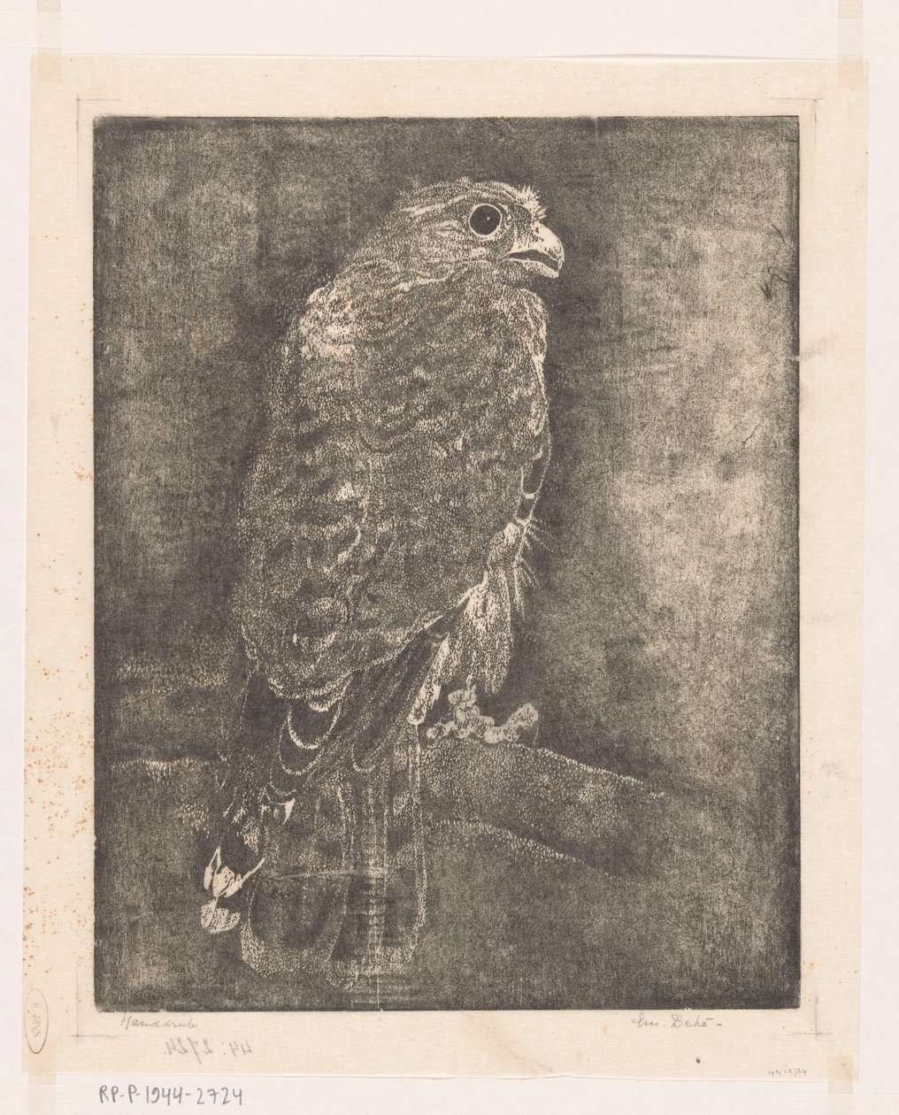 Faucon sur une branche - Emilius Wilhelmus Dehé (signed by artist)