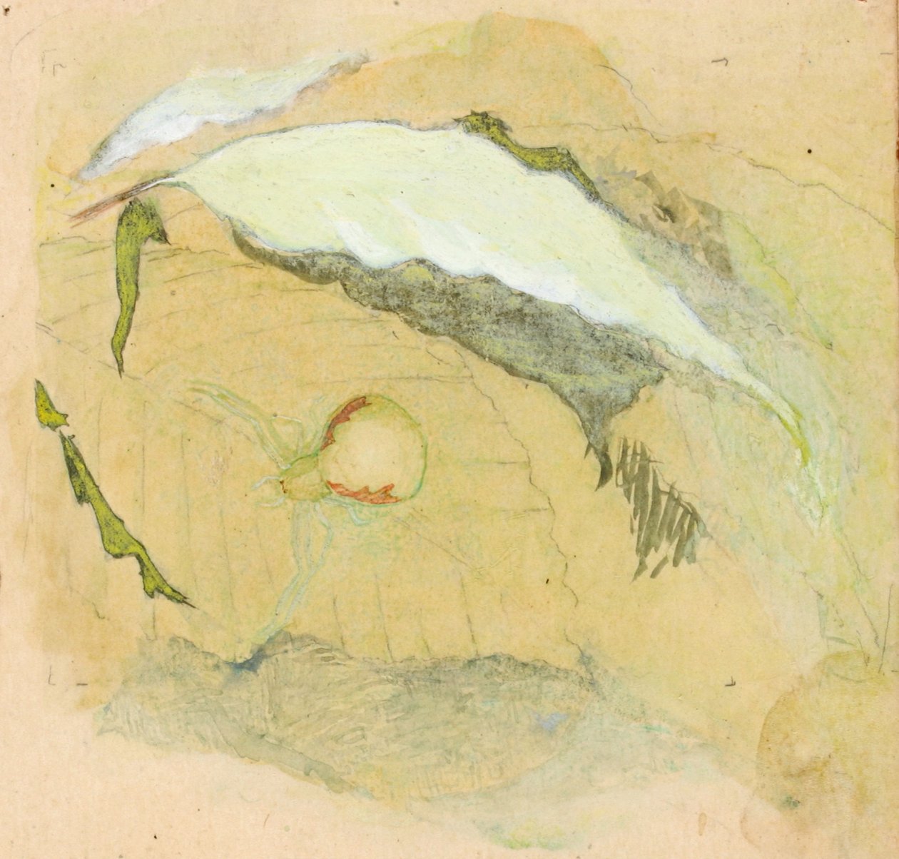 Araignée blanche en porcelaine - Emma Beach Thayer