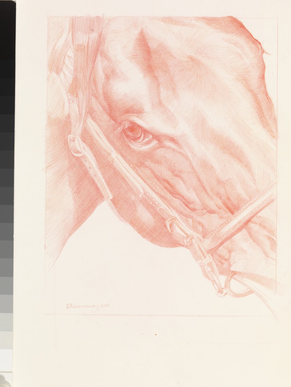 Tête de portrait, 2012 - Emma Kennaway