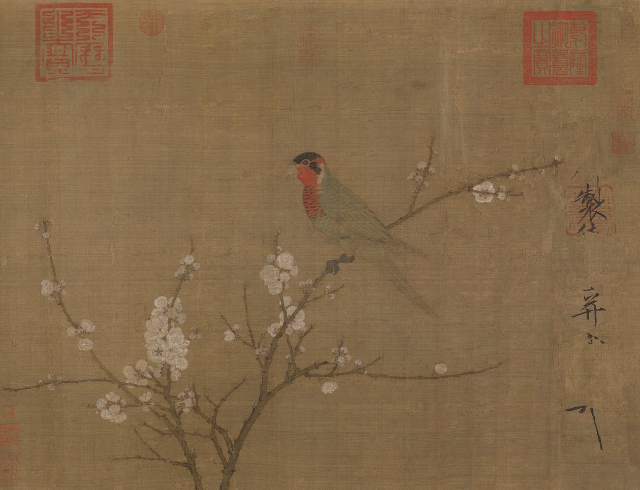 Perruche à cinq couleurs sur un abricotier en fleurs - Emperor Huizong