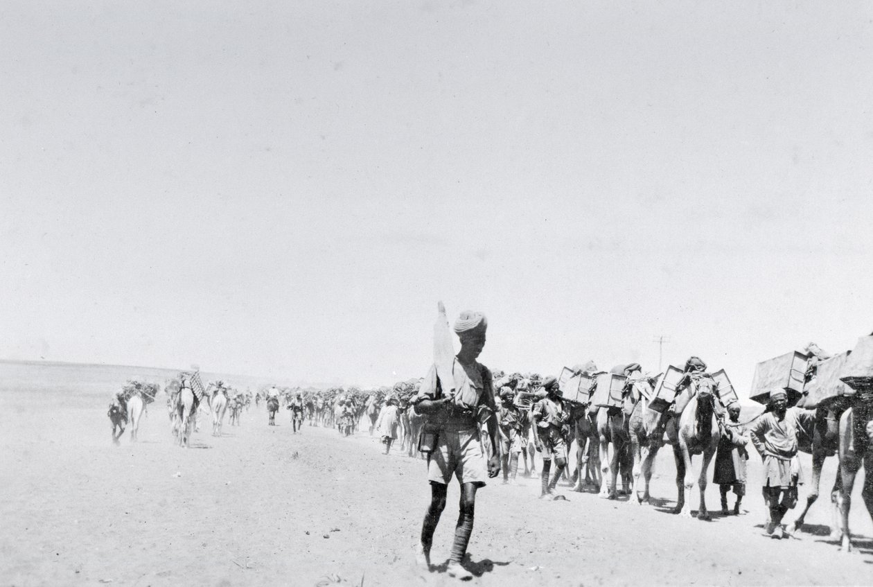 Un train de ravitaillement de chameaux en Mésopotamie pendant la Première Guerre mondiale, d