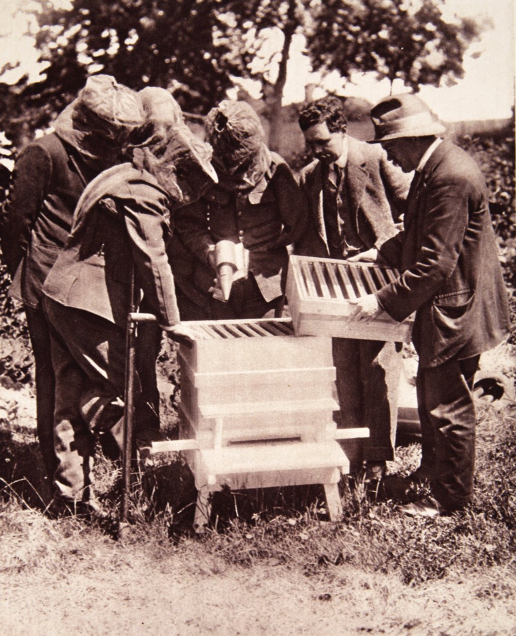 Instruction en apiculture sous le programme de Lord Eglinton : une classe masquée aux ruches, de The Illustrated War News, 5 juillet 1916 - English Photographer