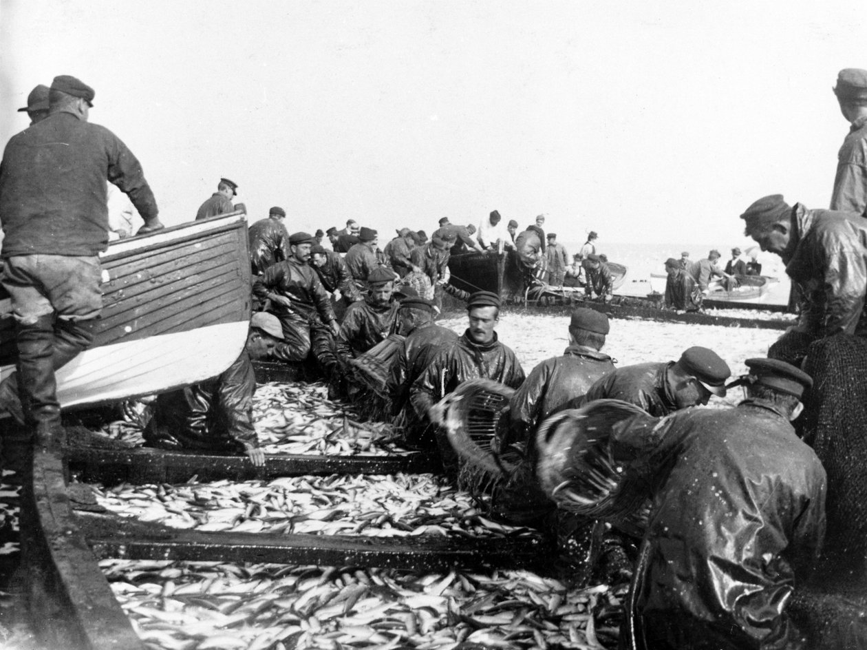 Pêcheurs avec leur prise, vers 1890 - English Photographer