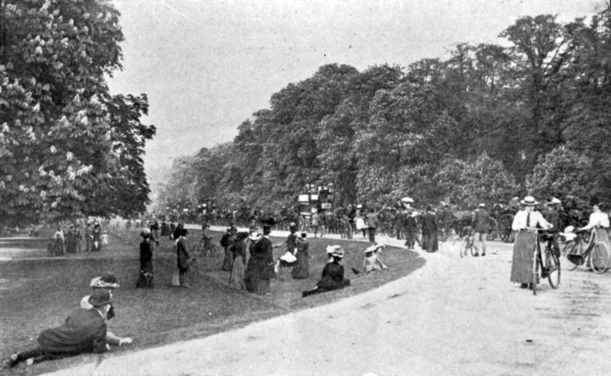 Vue générale de Bushey Park, illustration de The King, 25 mai 1901 - English Photographer