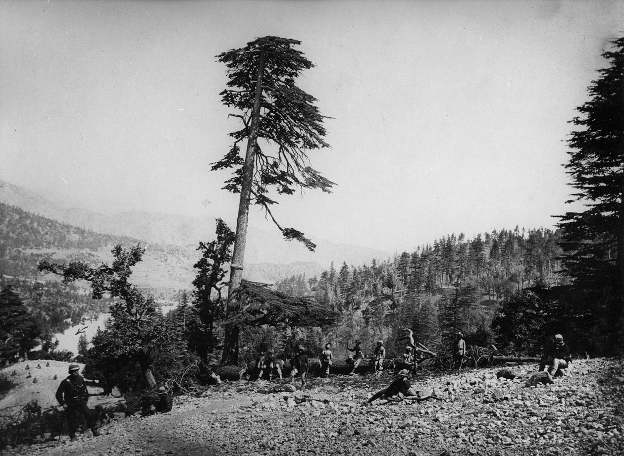 Soldats indigènes et britanniques se reposant pendant la deuxième guerre anglo-afghane, 1878-80 - English Photographer