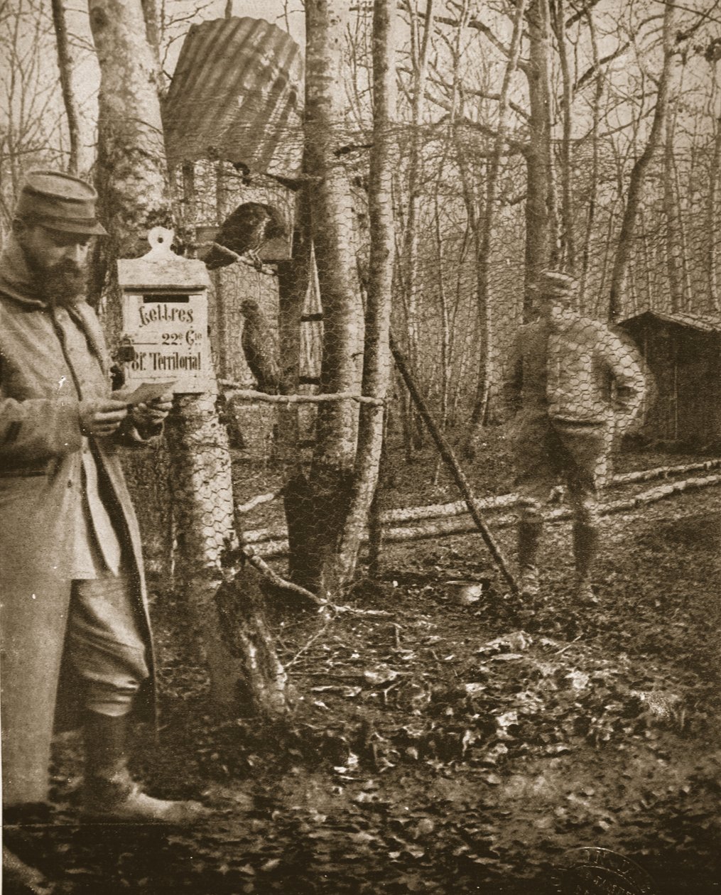 Sur le front de la Lorraine française : une boîte aux lettres de camp de Poilus et des mascottes buses, illustration de The Illustrated War News - English Photographer