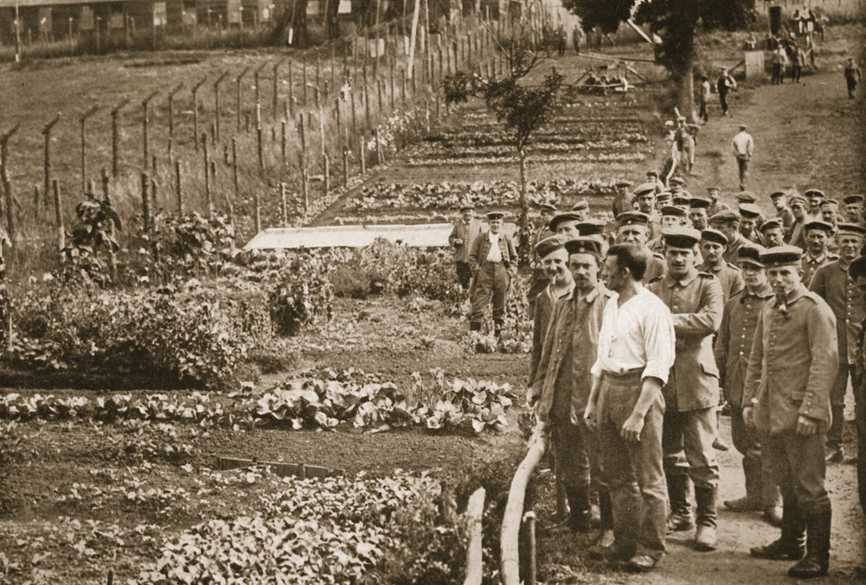 Le jardin potager, Eastcote, illustration de Prisonniers allemands en Grande-Bretagne - English Photographer