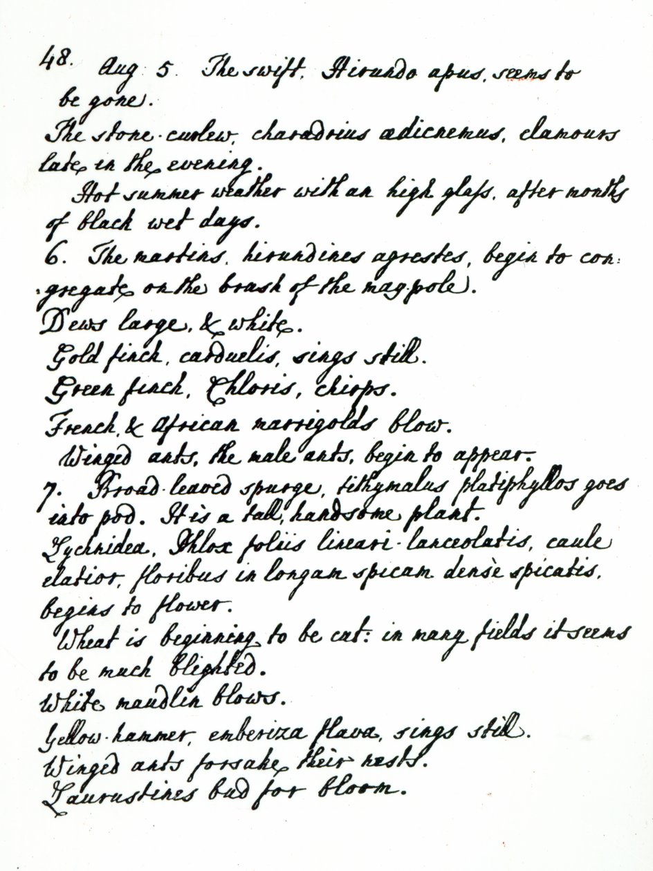 Une page du journal du révérend James Woodforde - English School