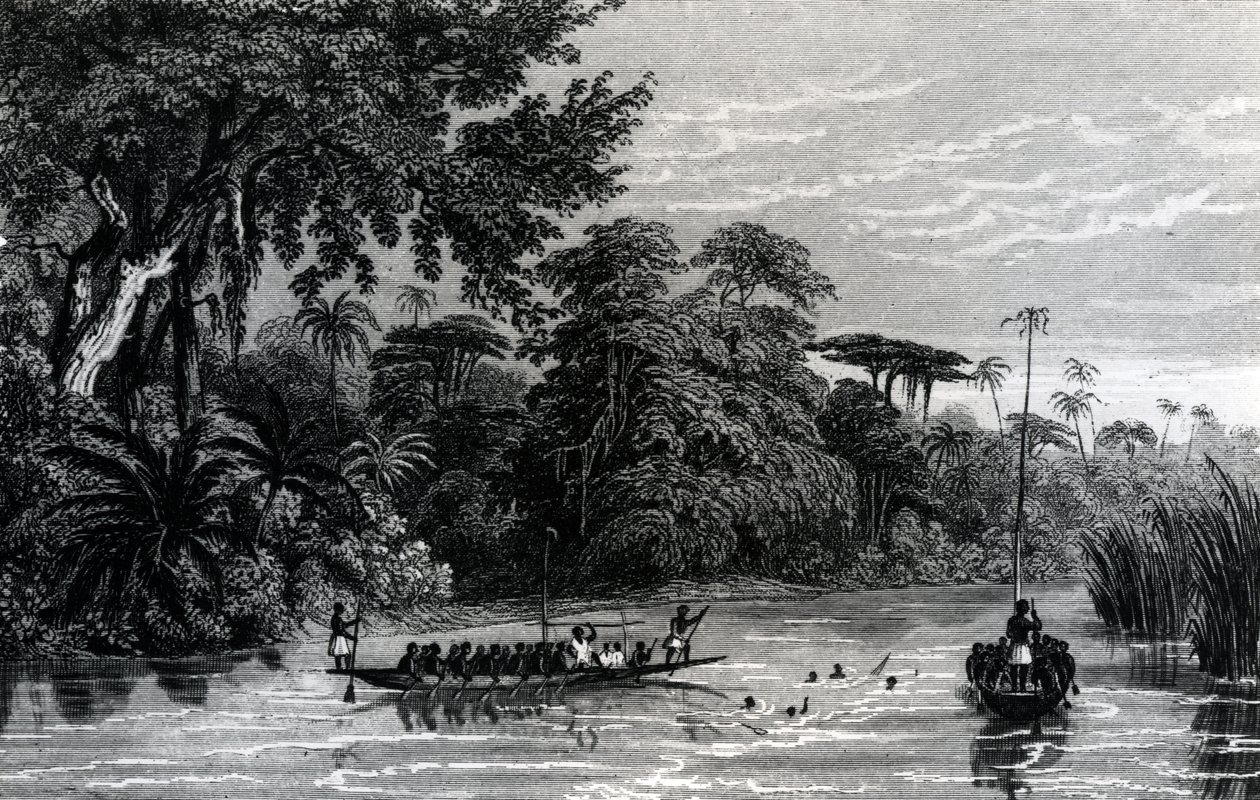 Canoës sur le fleuve Niger - English School
