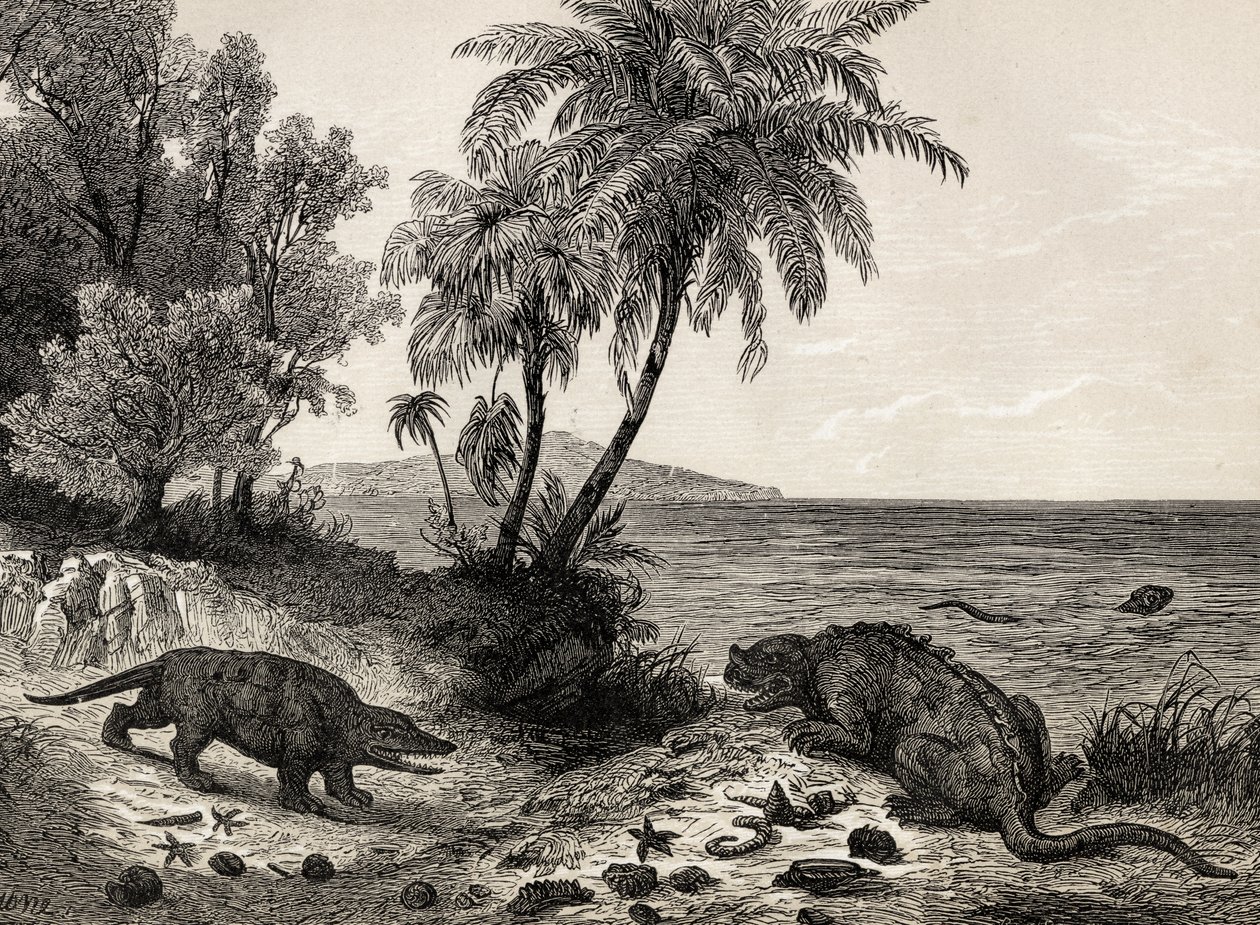 Paysage de l