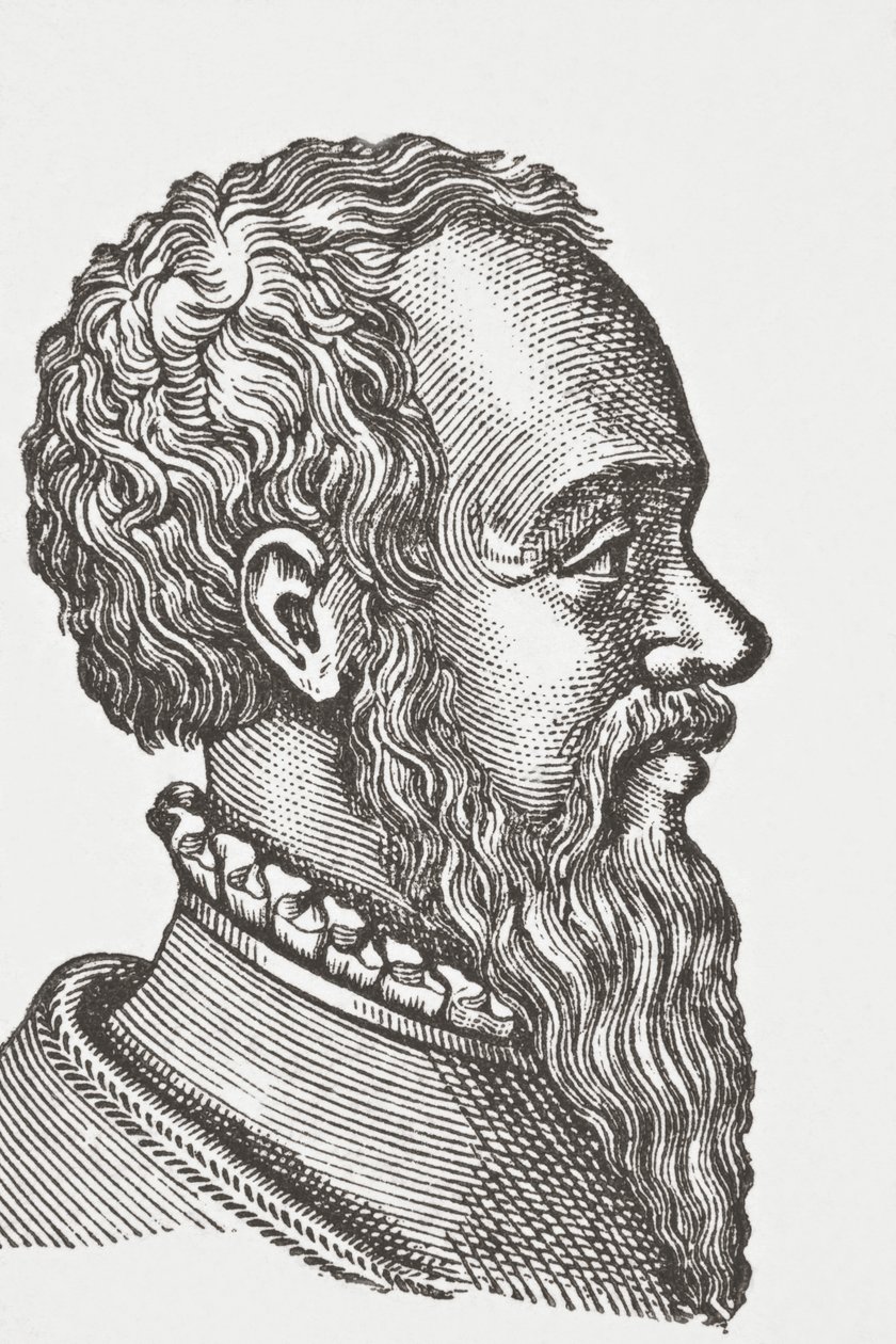 Clément Marot, 1878 - English School
