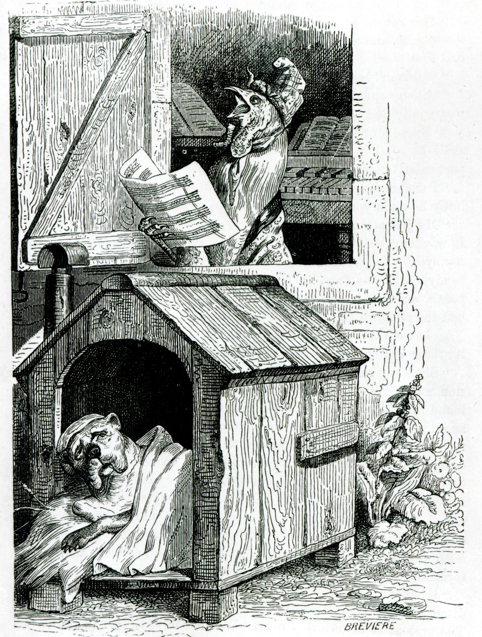 Chien dormant et coq chantant, de 