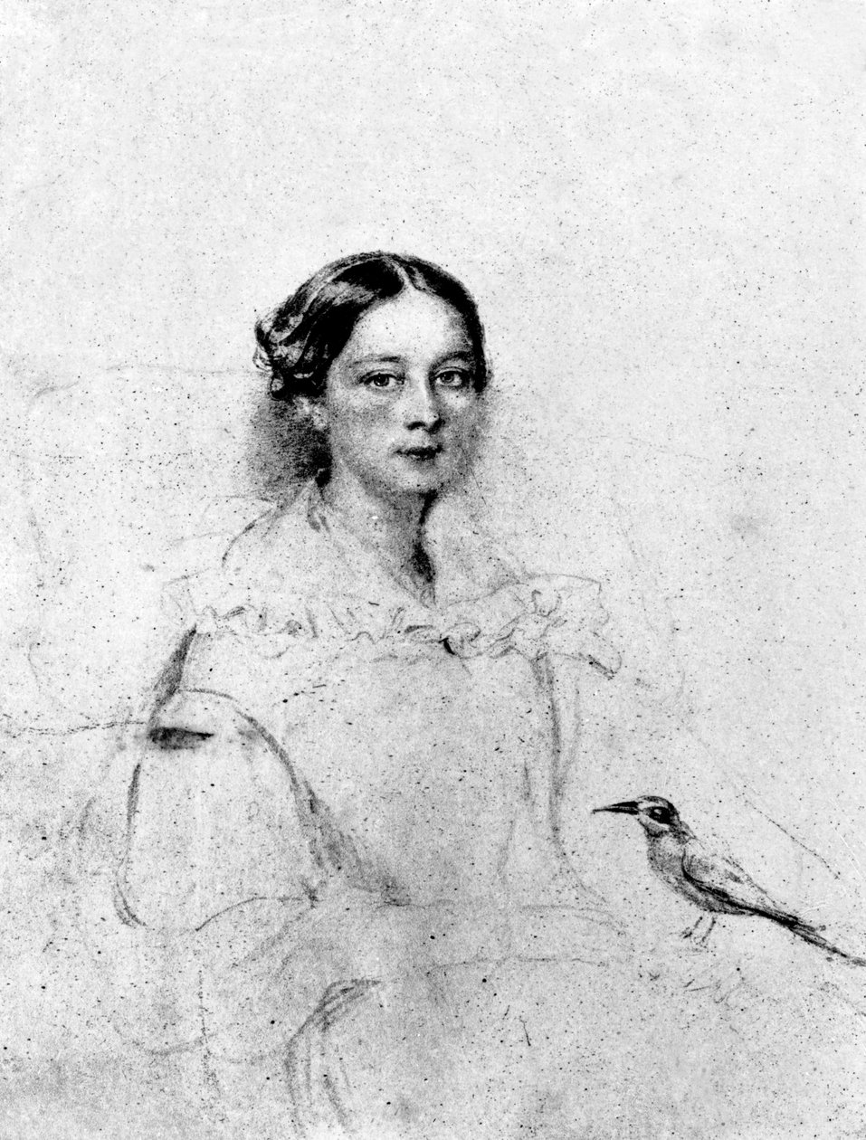 Emily Shore, d
