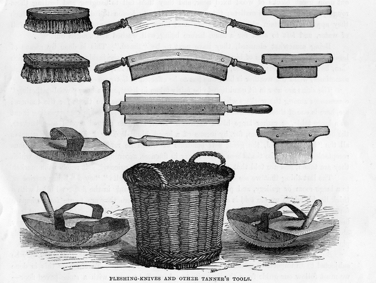 Couteaux à décharner et autres outils de tanneur - English School