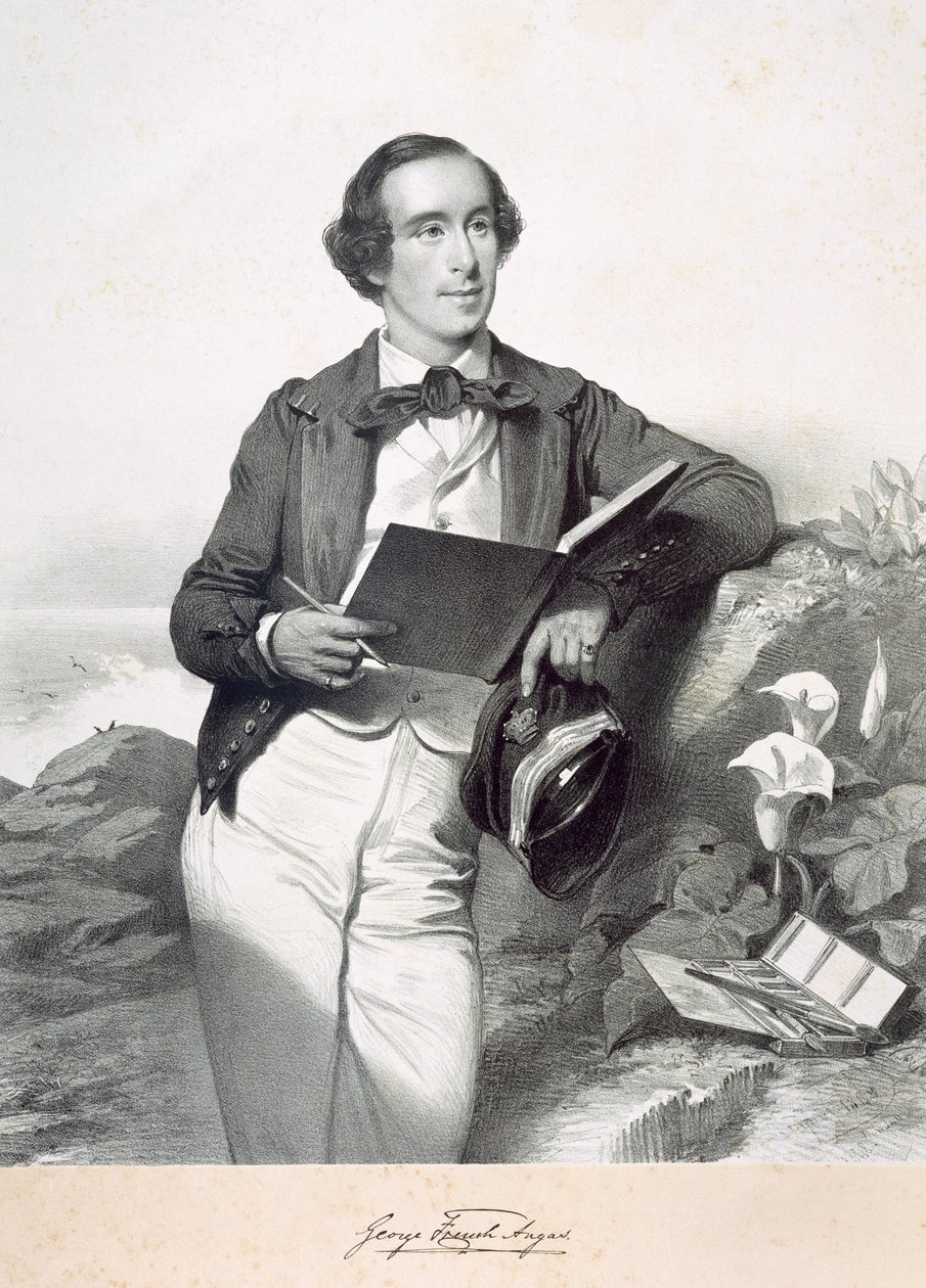 George French Angas | English School | Estampe d'art