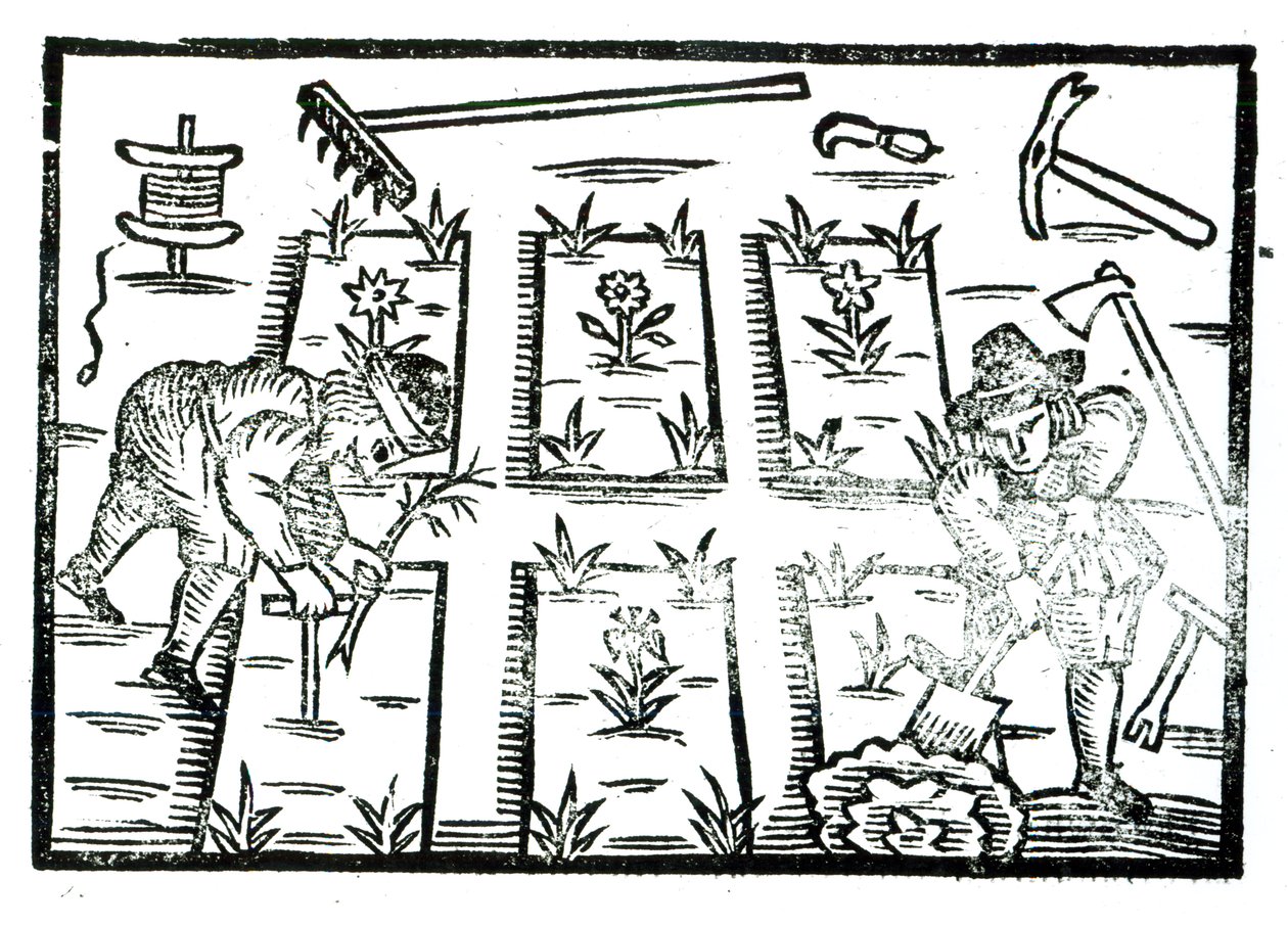 Illustration d