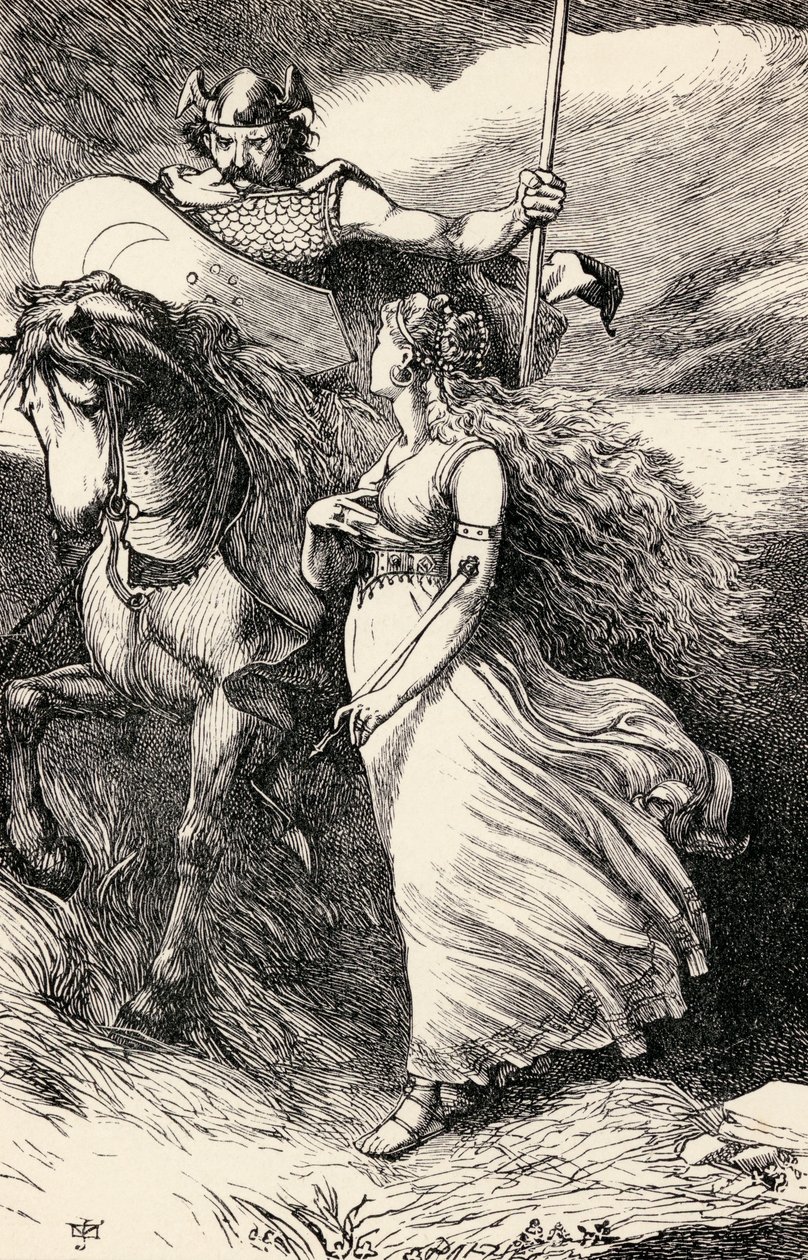Chevalier irlandais et demoiselle, d