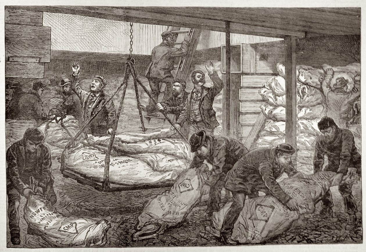 Déchargement de viande congelée australienne de Sydney au South West India Dock, Millwall, de 