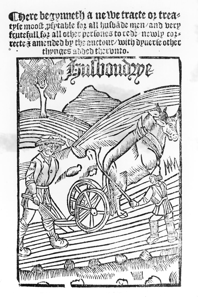 Homme labourant un champ - English School