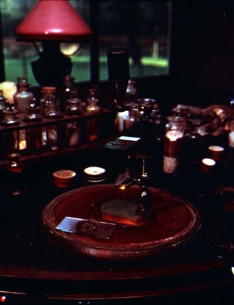 Microscope appartenant à Charles Darwin (1809-82) - English School