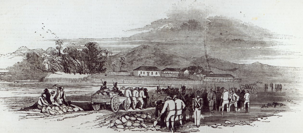 Île Norfolk, tiré de 