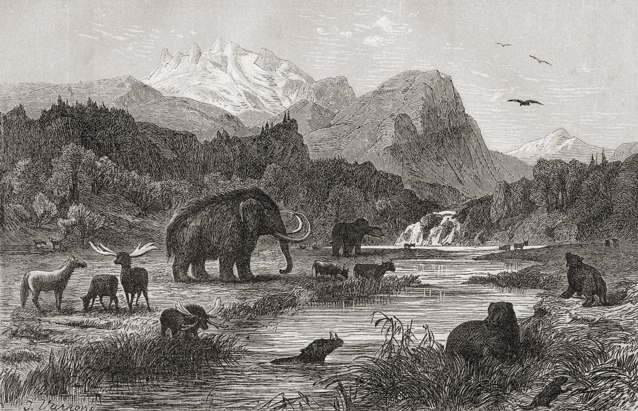 Paysage pliocène - English School
