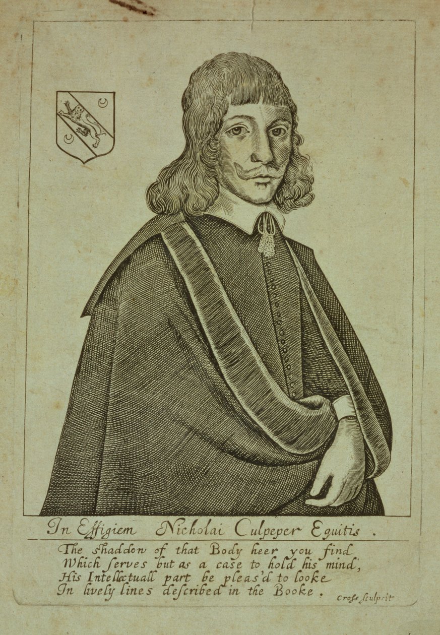 Portrait de Nicholas Culpeper (1616-54) de A Physical Directory, ou une traduction du London Dispensatory, gravé par Thomas Cross, 1649 - English School