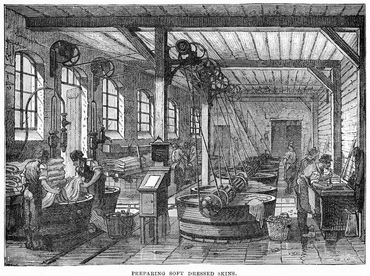 Préparation des Peaux Douces - English School