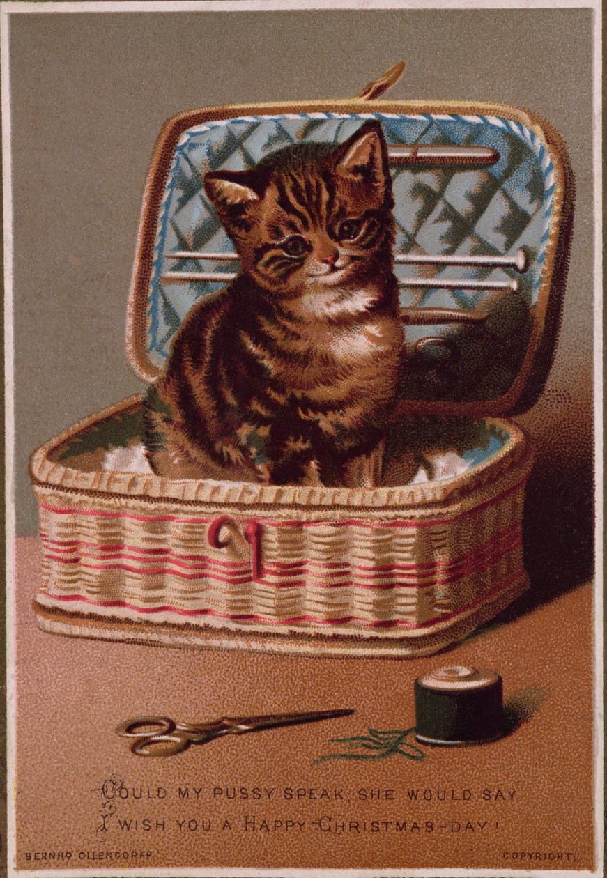 Chaton dans le panier à ouvrage - English School