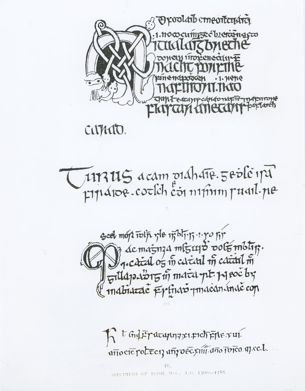 Spécimens de manuscrits irlandais, vers 1300-1588 - English School