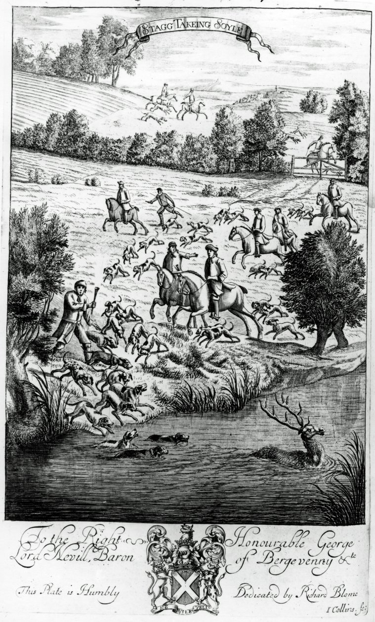 Cerf prenant le sol, de 