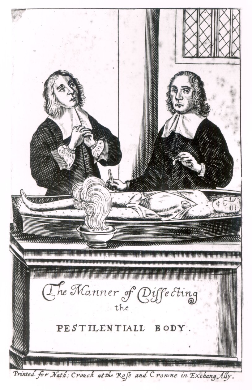 La manière de disséquer le corps pestilentiel - English School