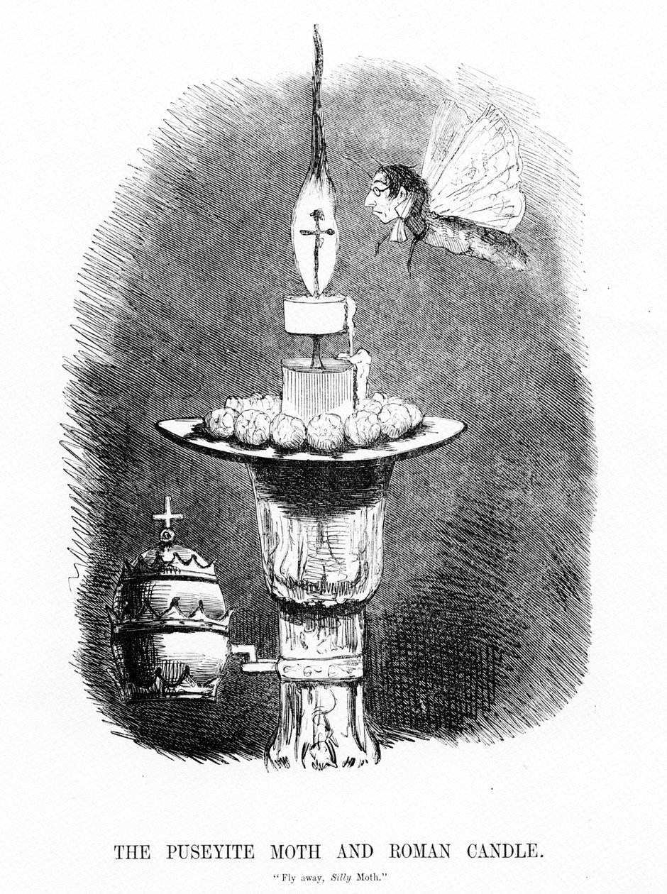 La Mite Puseyite et la Bougie Romaine, illustration de 