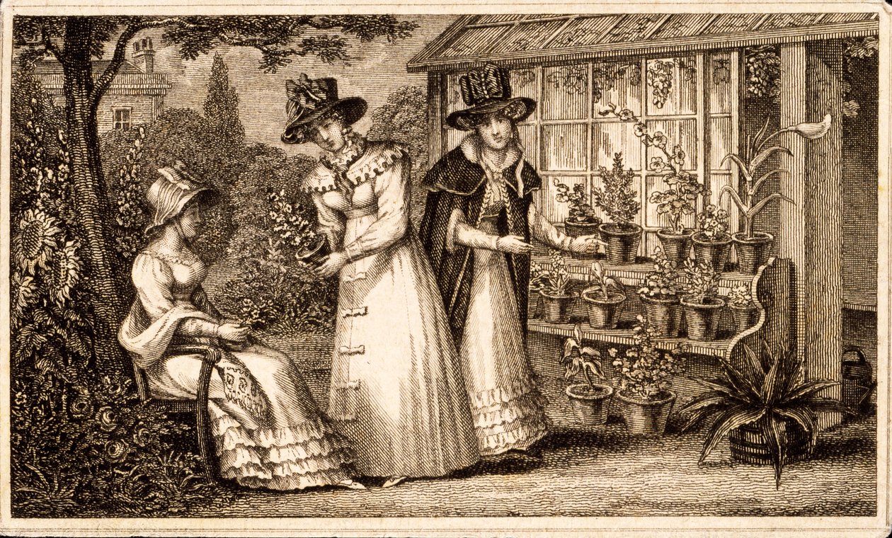 Trois dames jardinant près de l