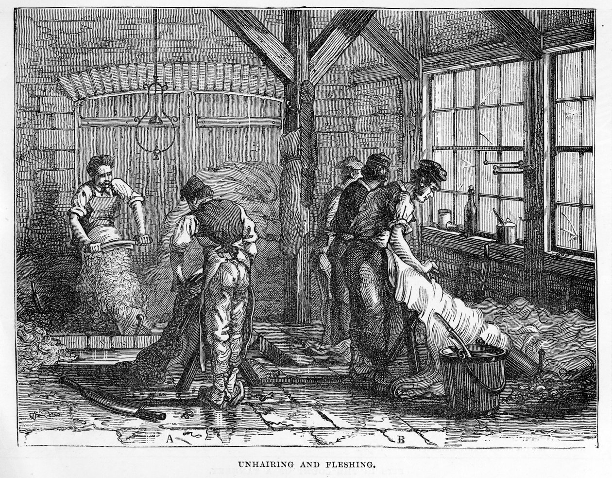 Épilation et écorchage - English School