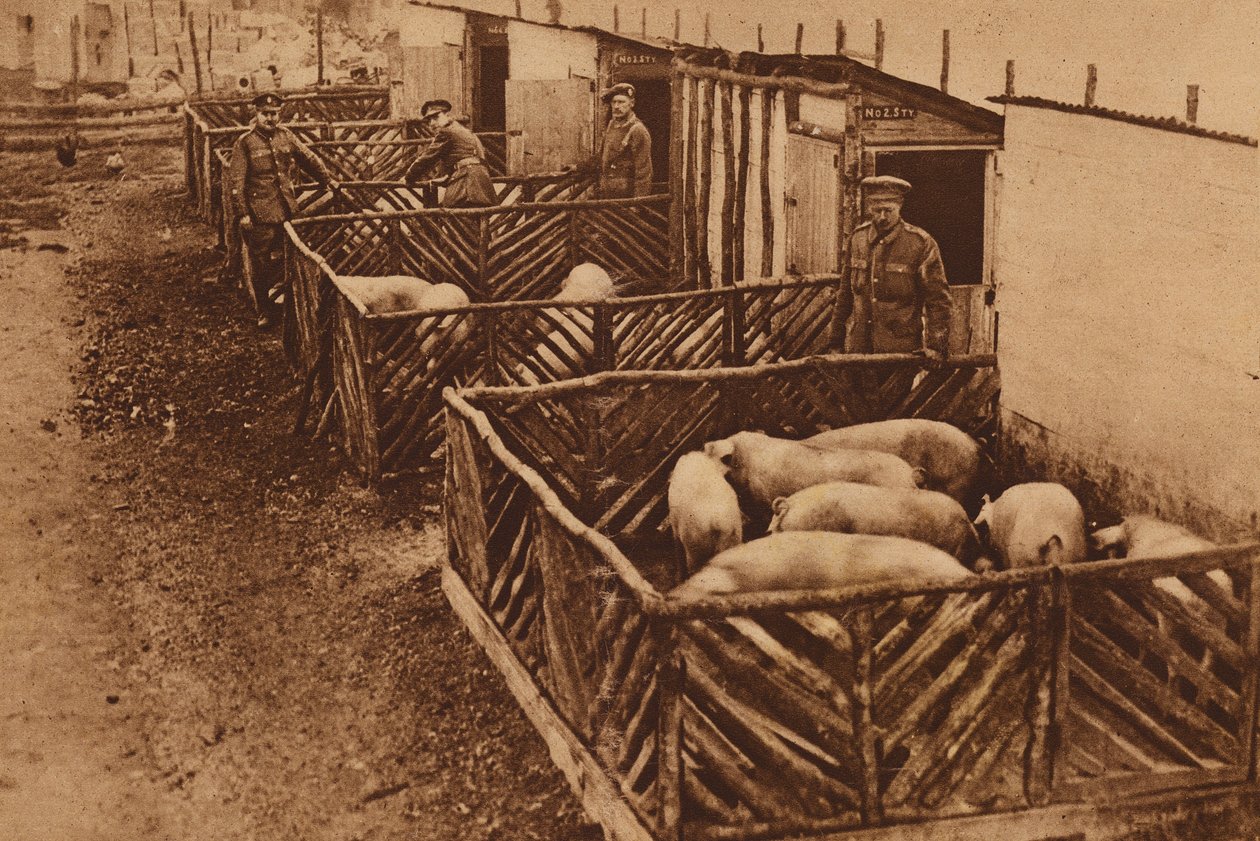 Porcherie de l