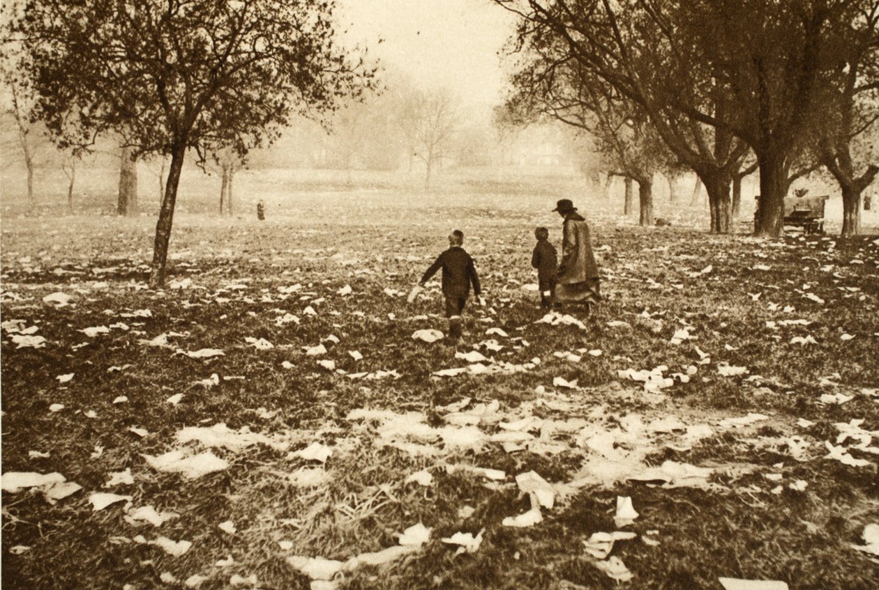 Herbe jonchée de détritus sur Hampstead Heath le lendemain d