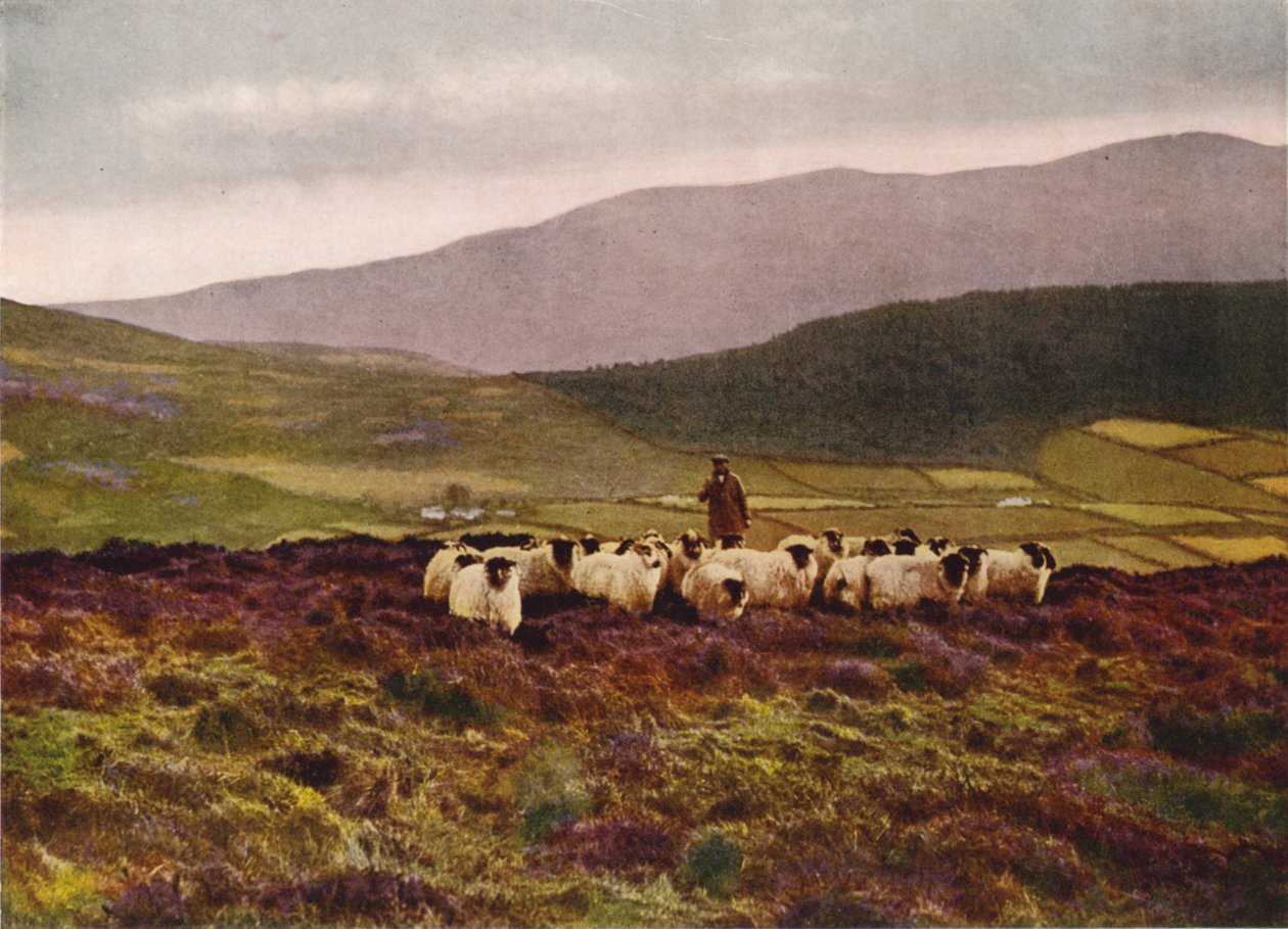 Sur les montagnes de Mourne, dans le comté de Down (photo couleur) - English Photographer