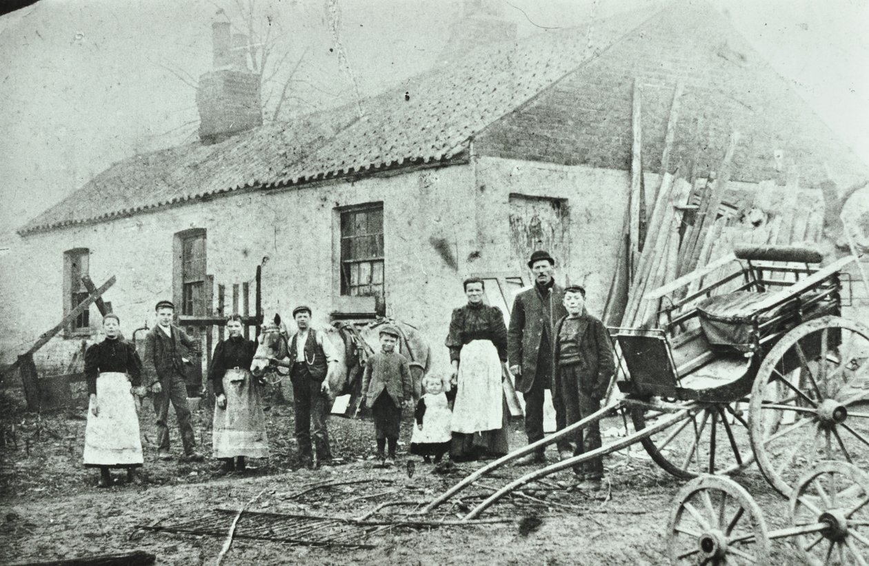 Route de Saint Gothard : fermes, 1880 - English Photographer