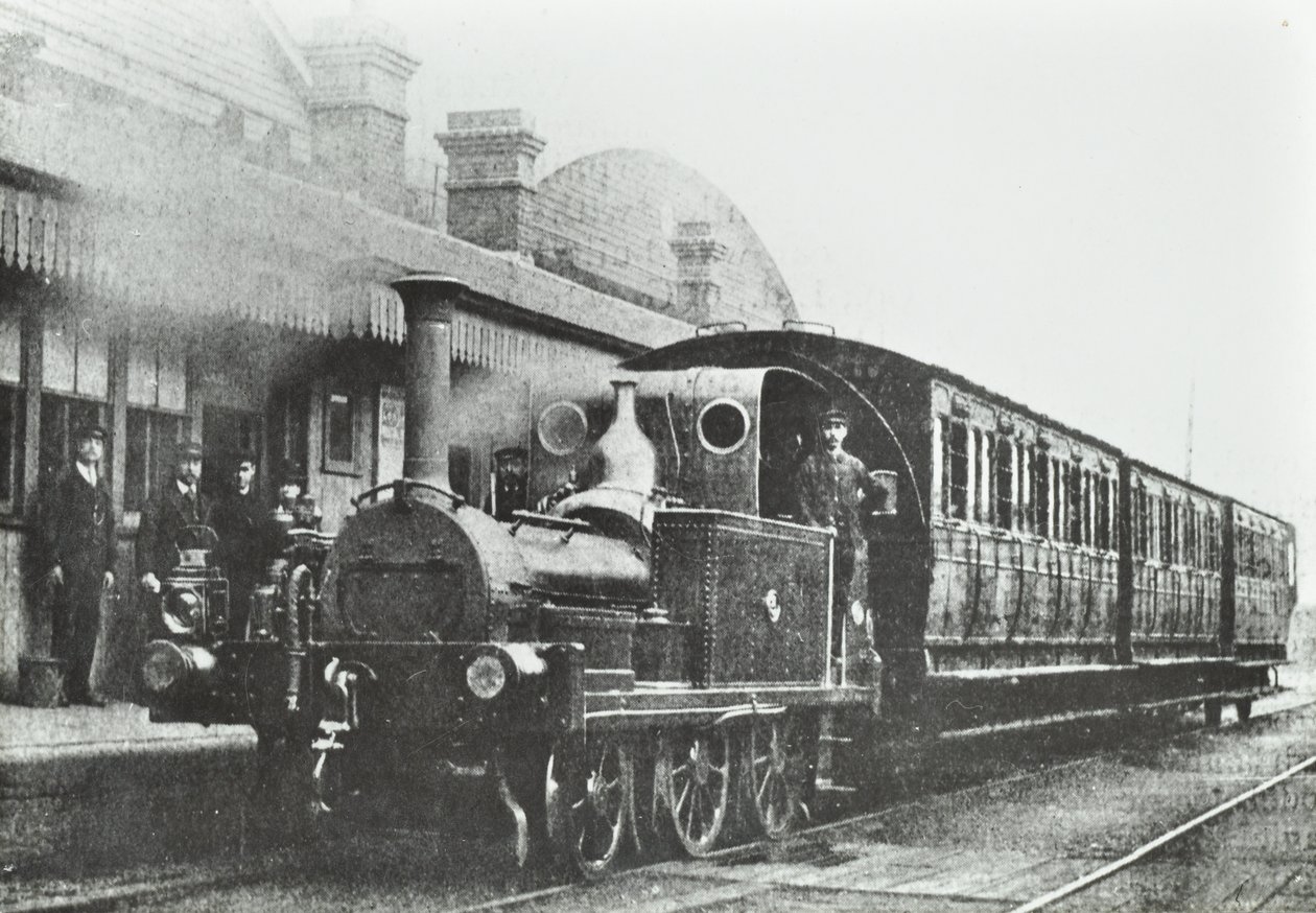 Gare de South Dock : une locomotive à réservoir à quatre roues couplées à la gare, 1880 - English Photographer