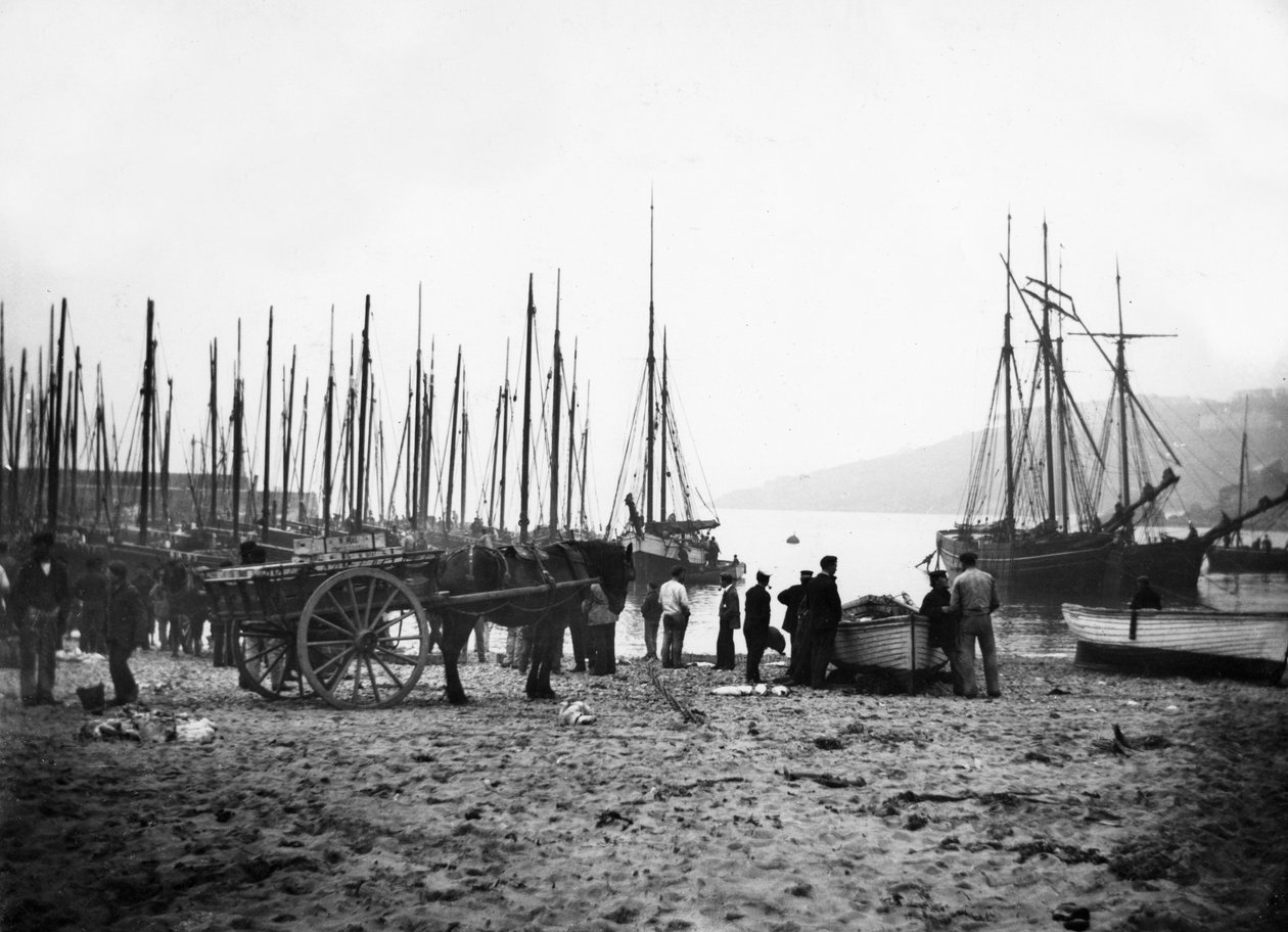 Port de St Ives vers Carbis Bay, vers 1880-99 - English Photographer